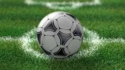 辽宁击败福建，王岚嵚刷新纪录